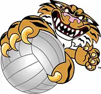 A cartoon wildcat with sharp teeth and claws gripping a volleyball.