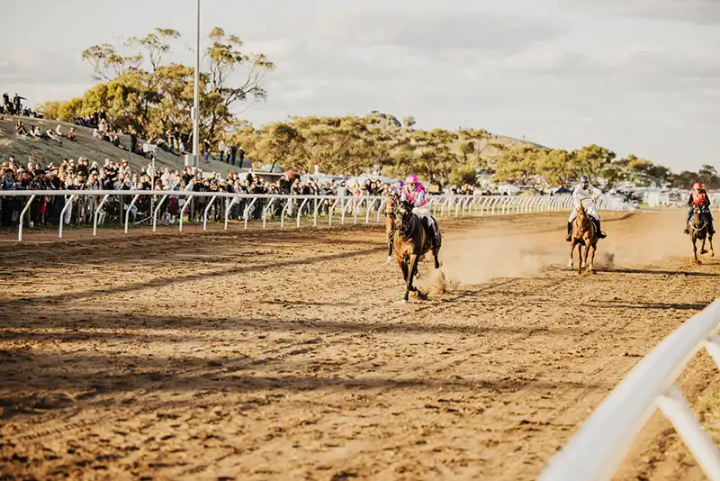 Horses racing on a dirt track with spectators on the left. The leading horse is ahead, causing dust clouds behind it.